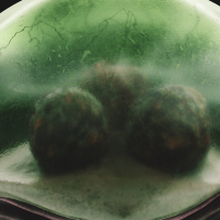 Metroid Prime larva close up