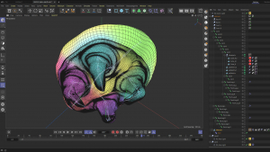 Metroid larva painted weights